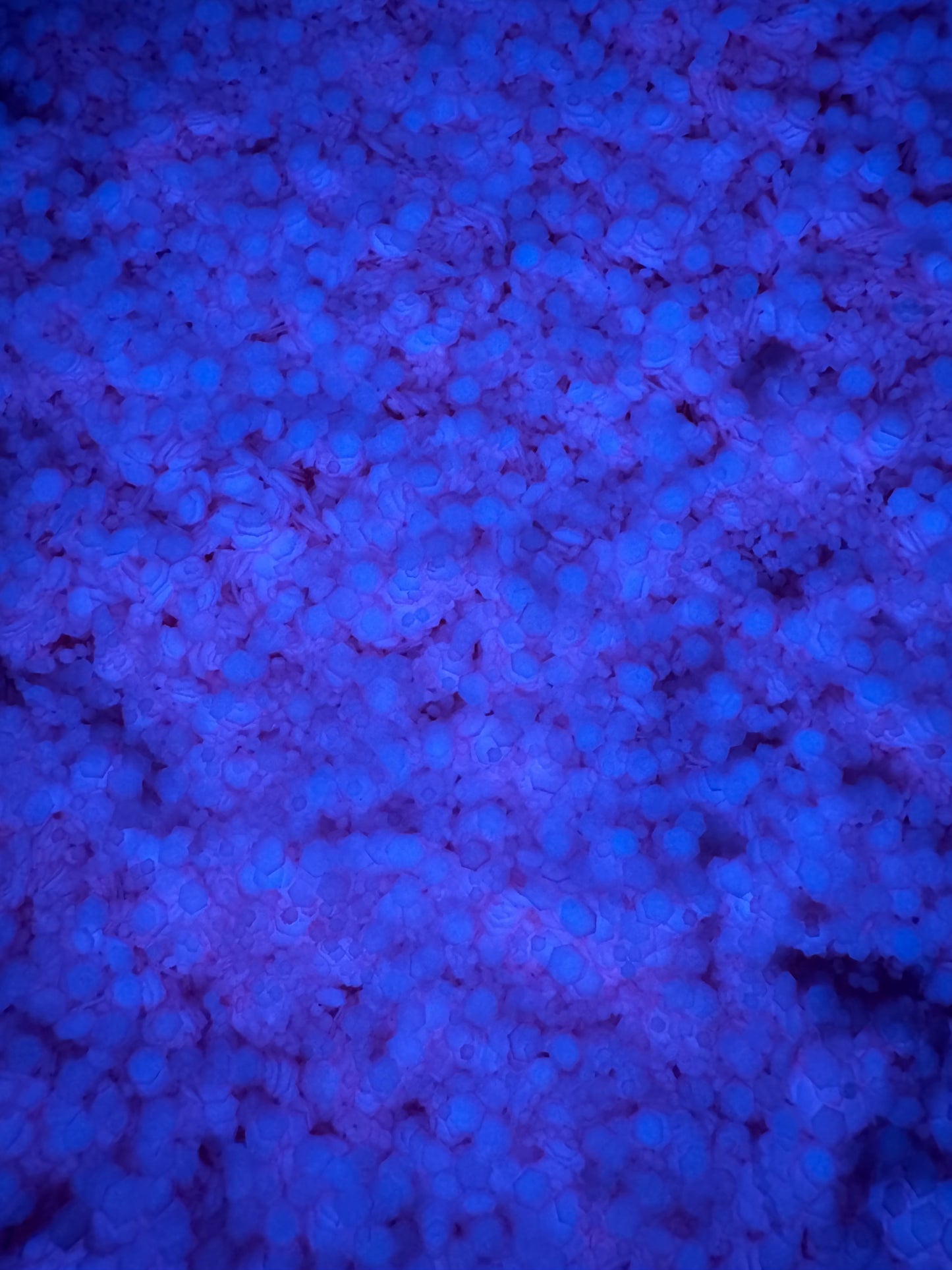 Bubblegum Glow 2oz Shaker